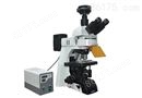 研究级荧光显微镜MF43