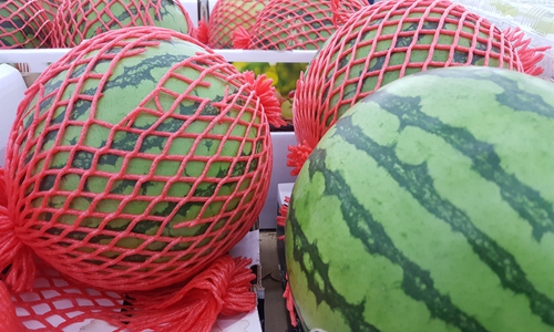瓜果成夏季“宠儿” 农药残留分析仪让你安全“吃瓜”