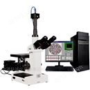 金相组织分析评级显微镜4XC-MS