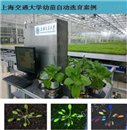DJ-PG0植物表型与生长参数协同监测系统